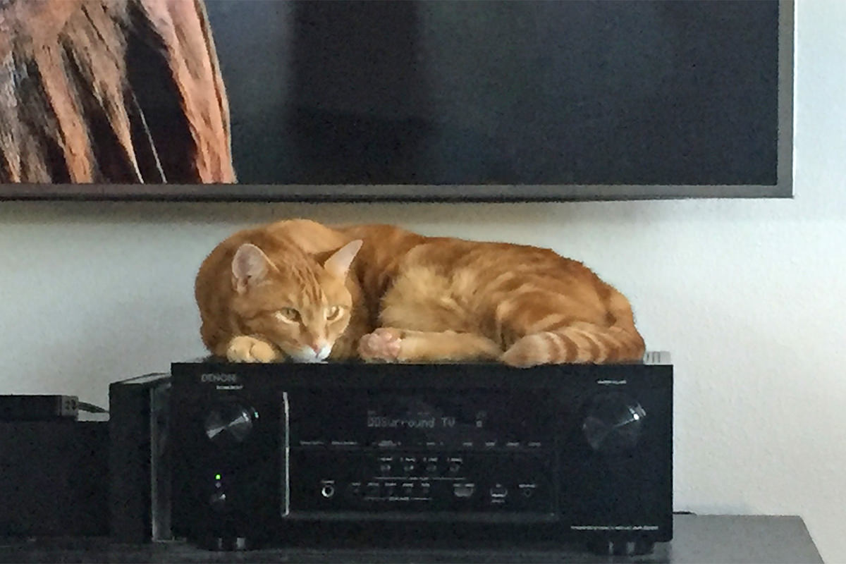 Jenny on the Stereo Receiver