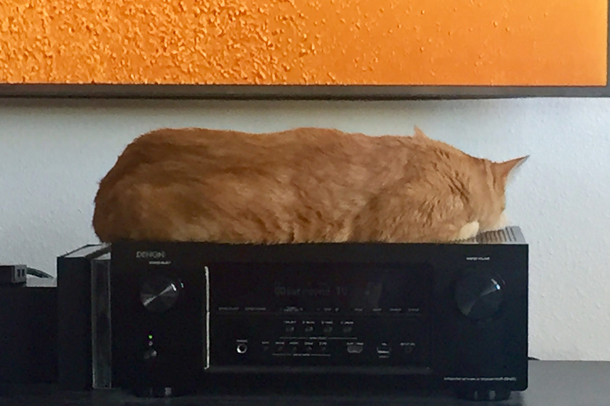 Jenny on the Stereo Receiver