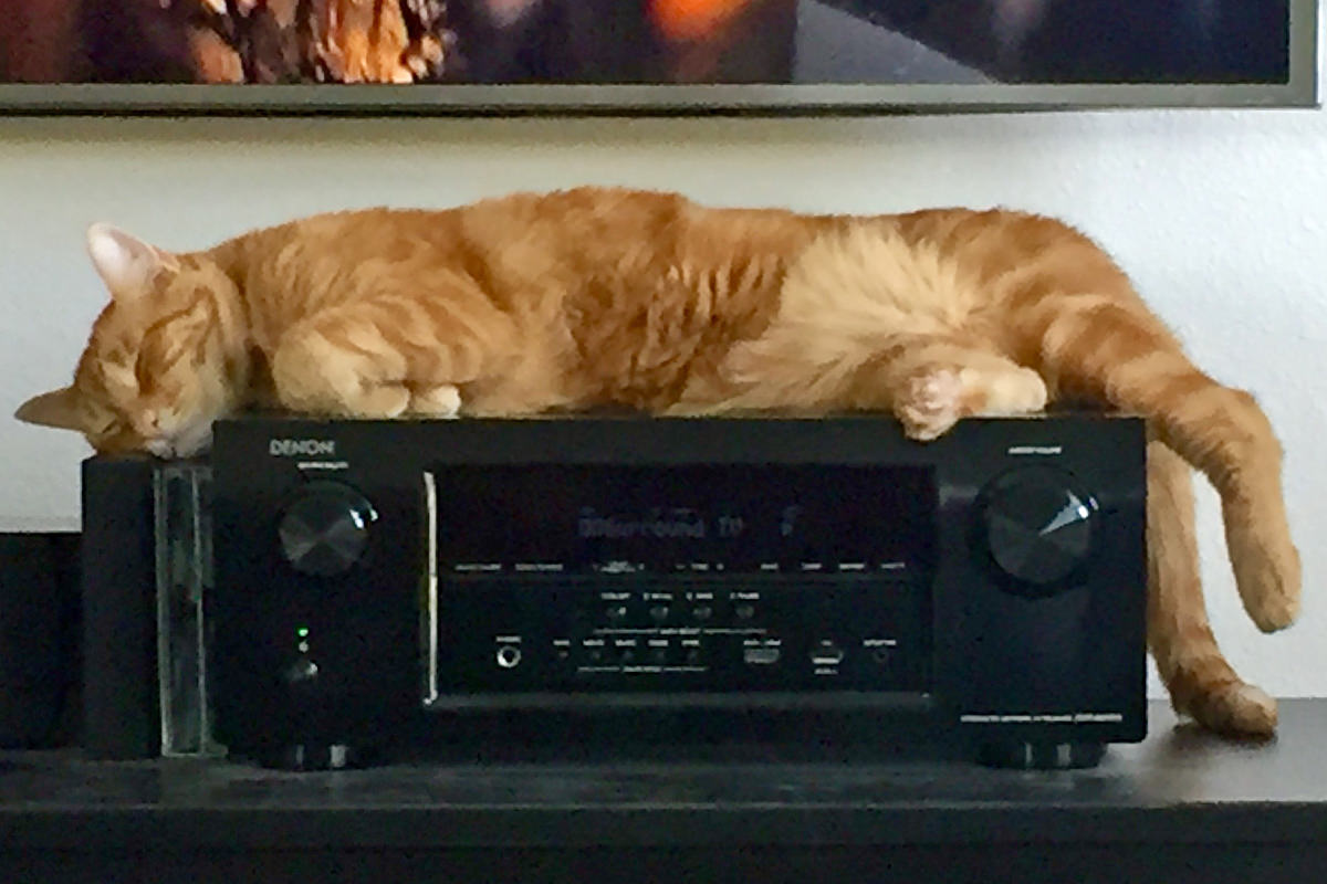 Jenny on the Stereo Receiver