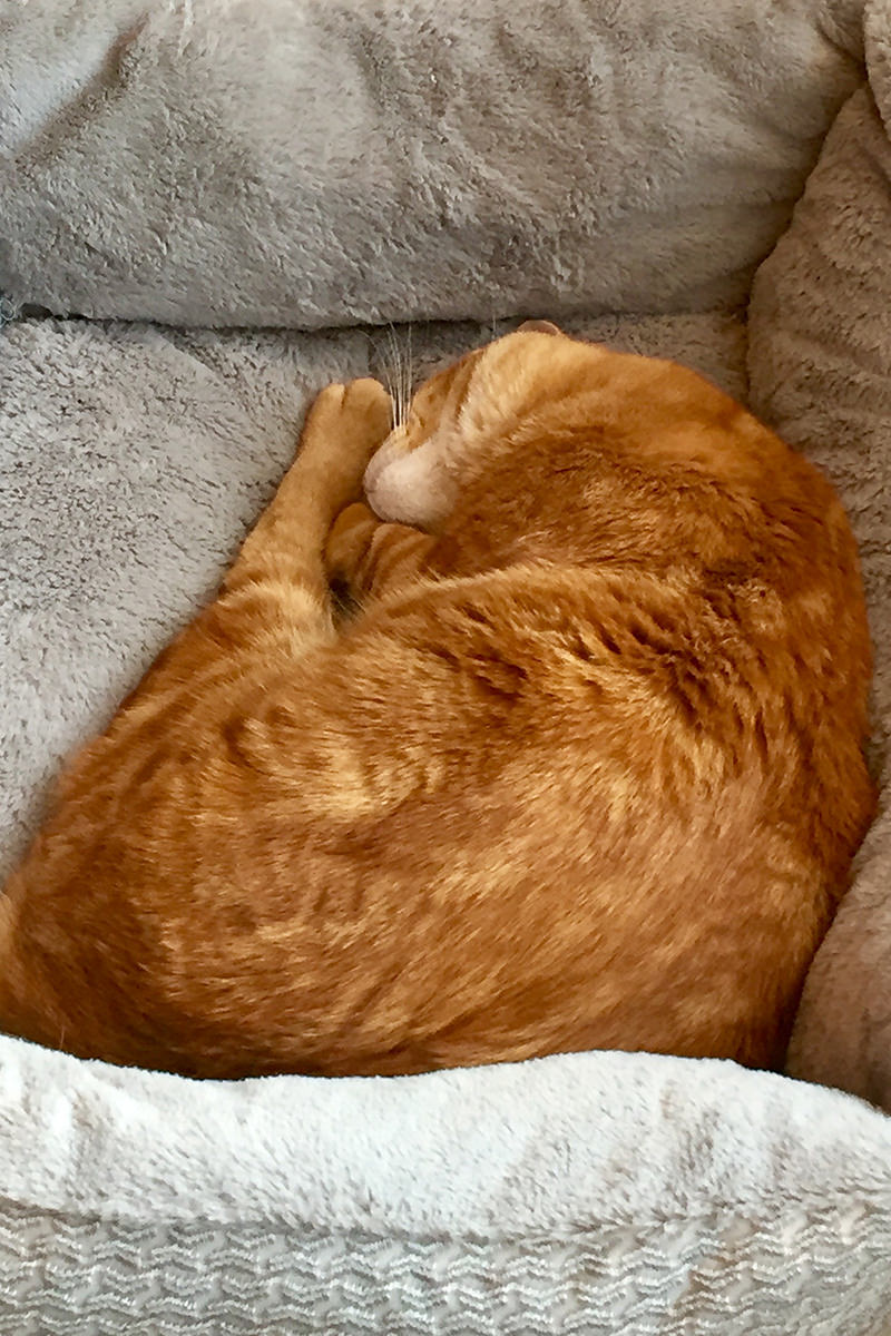 Jenny Sleeping with Her Fish Toy!