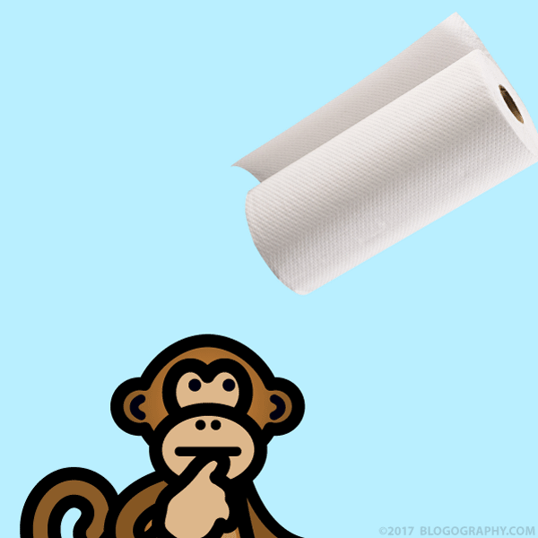 Bad Money watches a roll of paper towels fly overhead