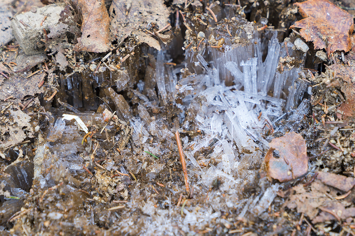 Bubble Trail Ice Crystals!