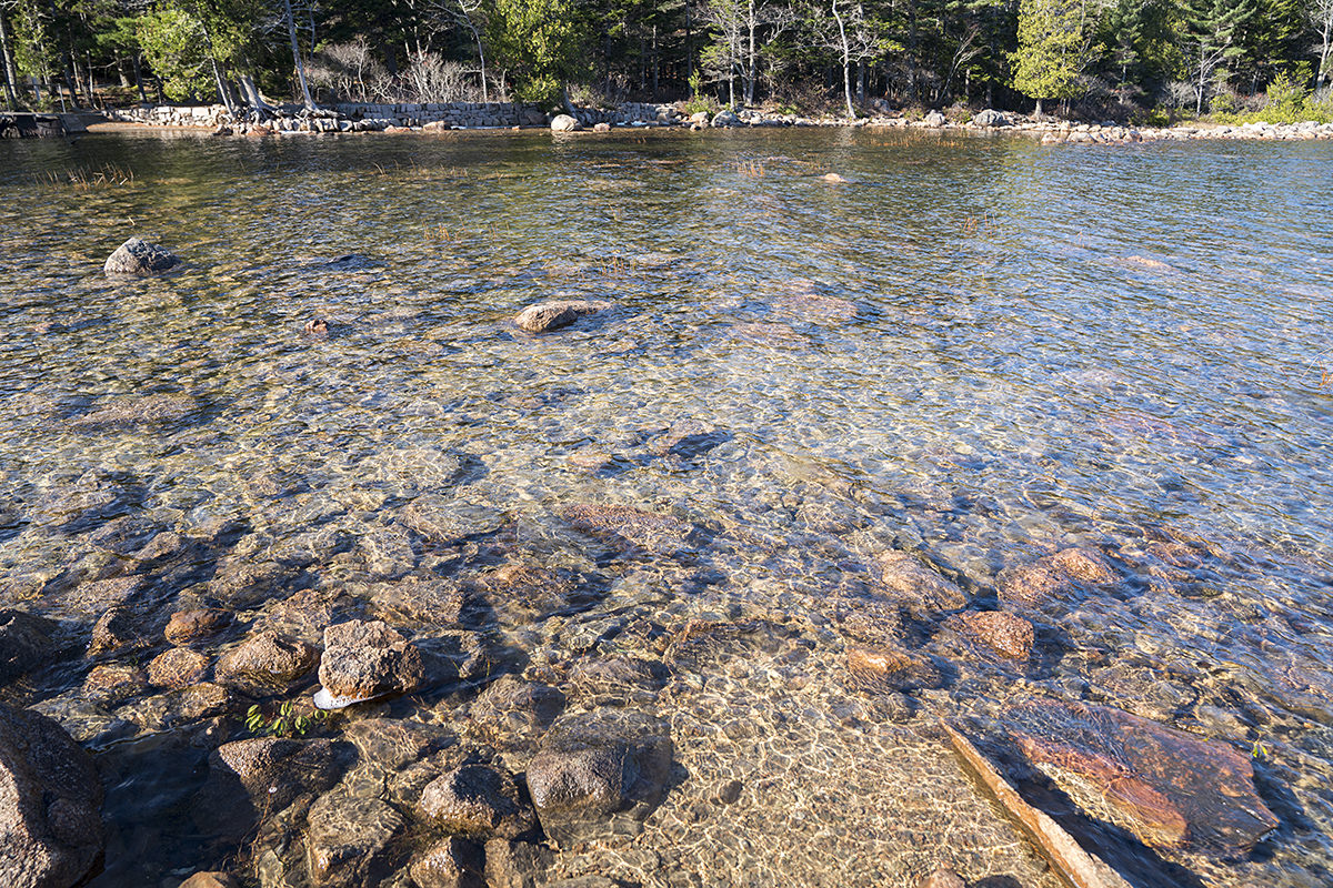 Jordan Pond Clear Water!