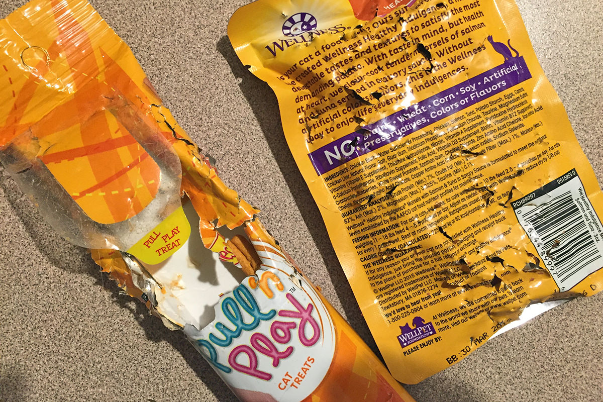 Destroyed cat food bag and treat bag!