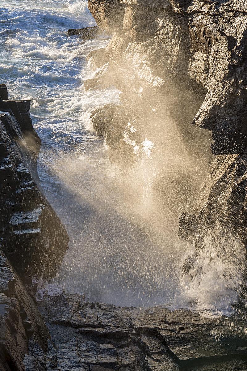 Thunder Hole Acadia