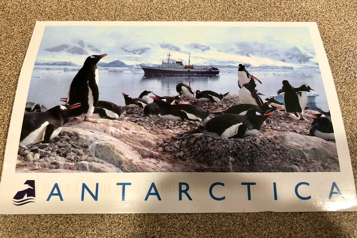 Antarctica Postcard