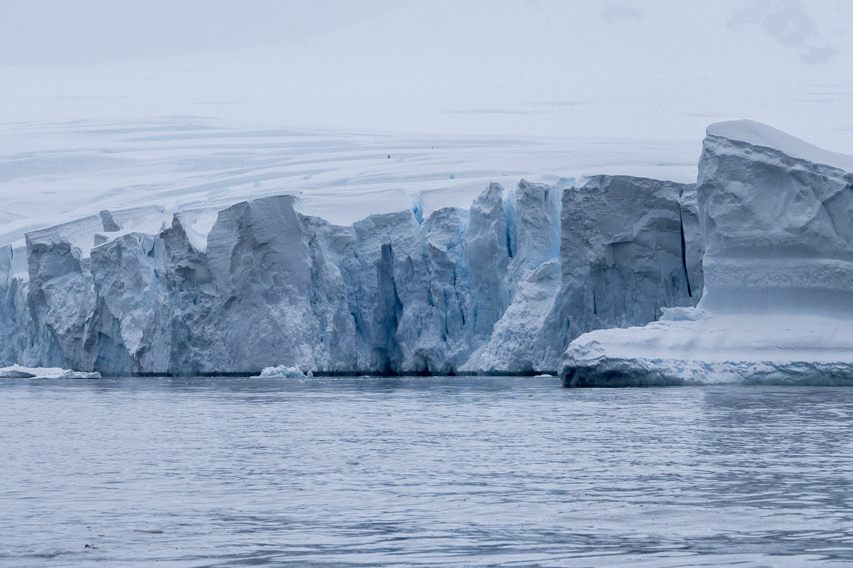 Bancroft Bay Ice