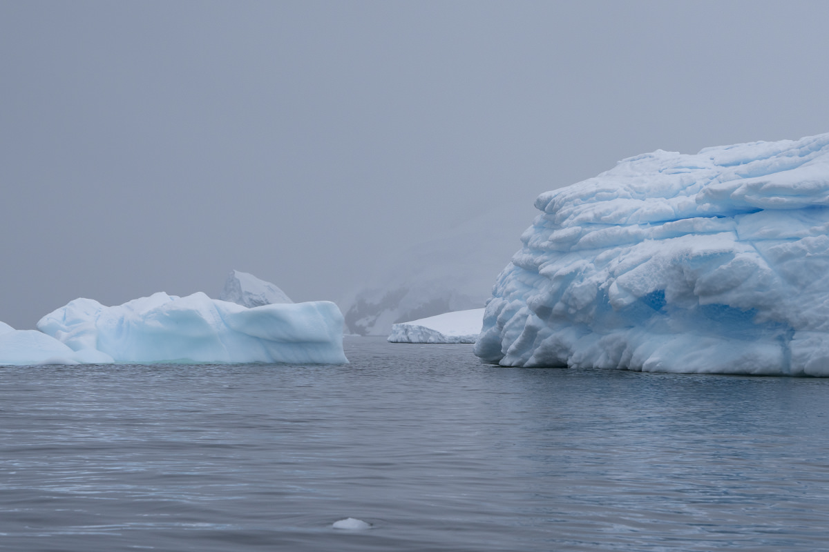 Bancroft Bay Ice