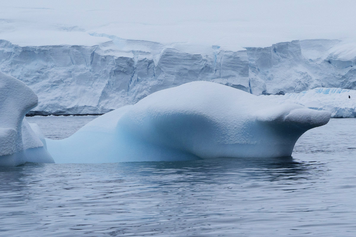 Bancroft Bay Ice