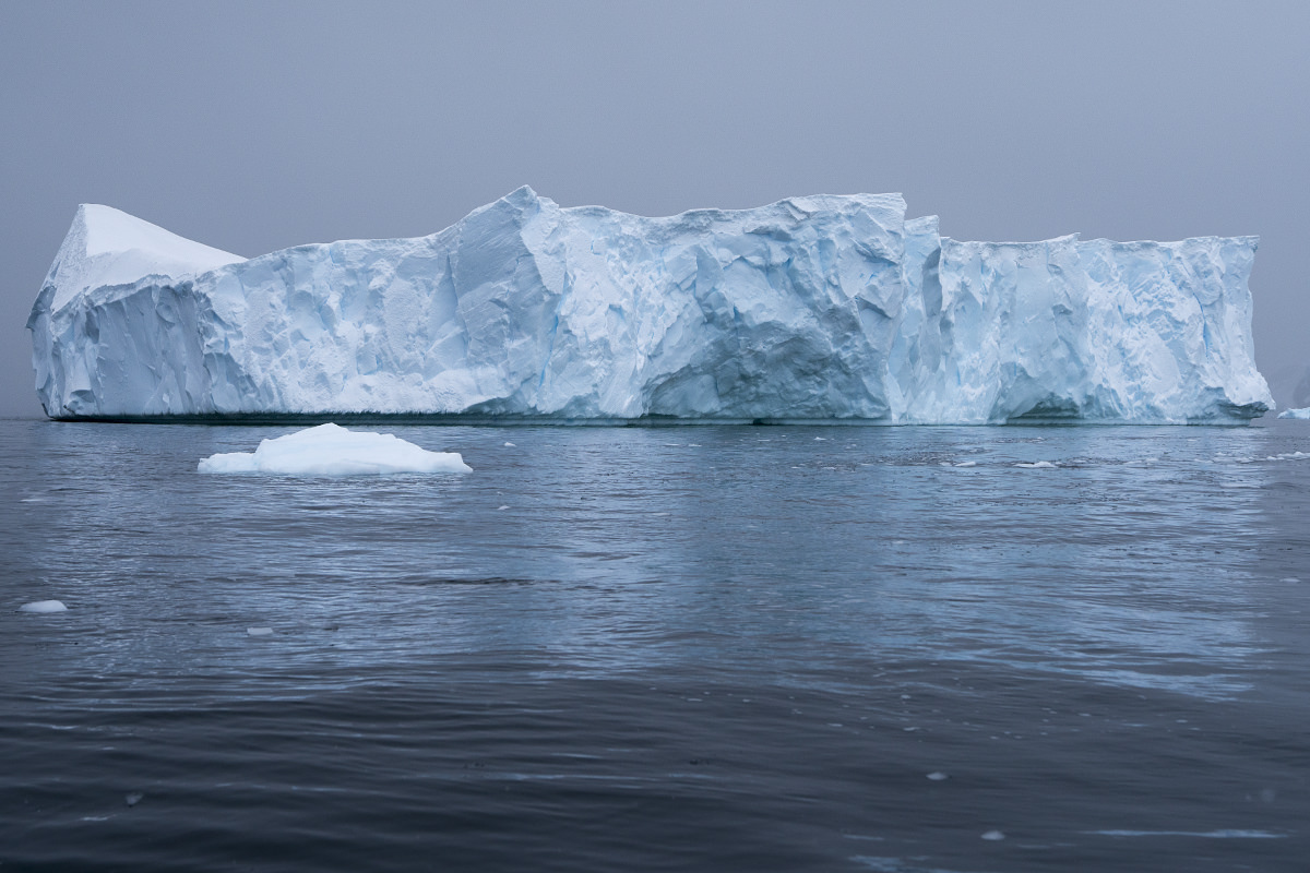 Bancroft Bay Ice