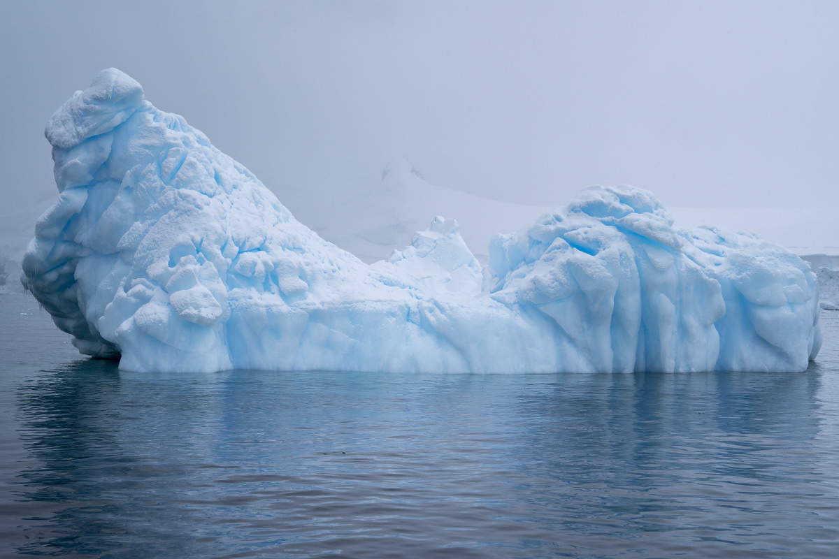 Bancroft Bay Ice