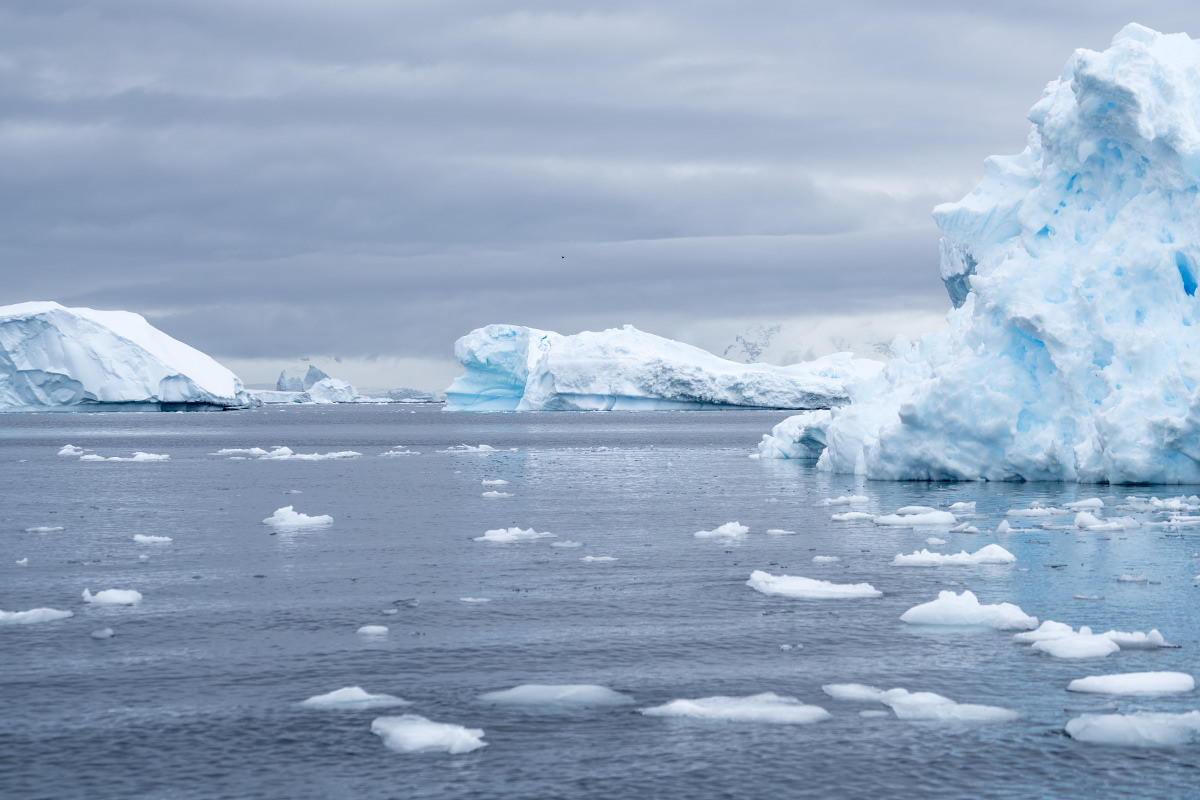 Leaving Cuverville Island