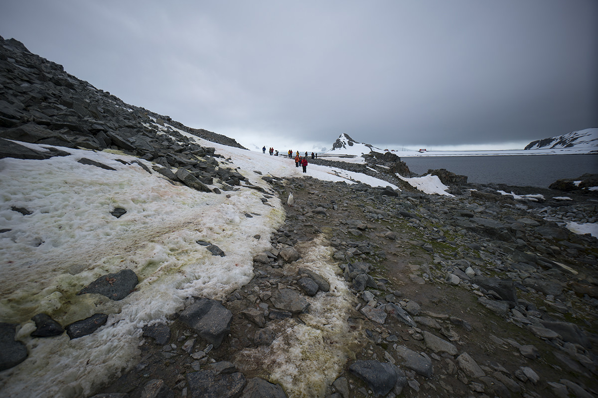 Half Moon Island Antarctica