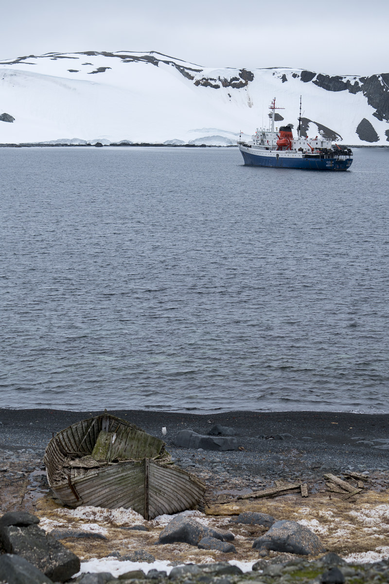 Half Moon Island Antarctica