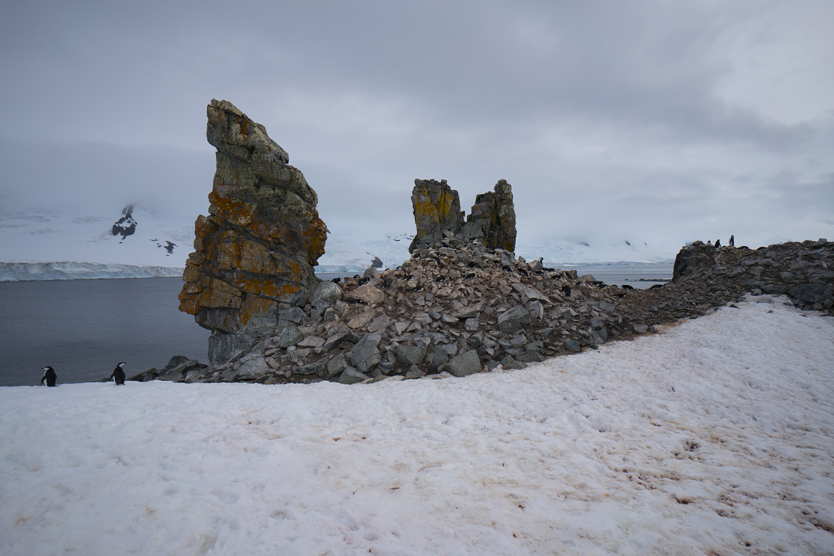 Half Moon Island Antarctica