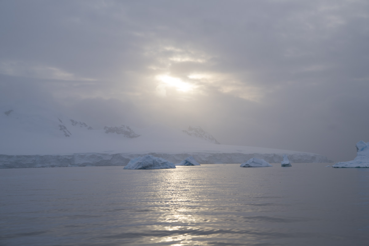 Glacier Icebergs