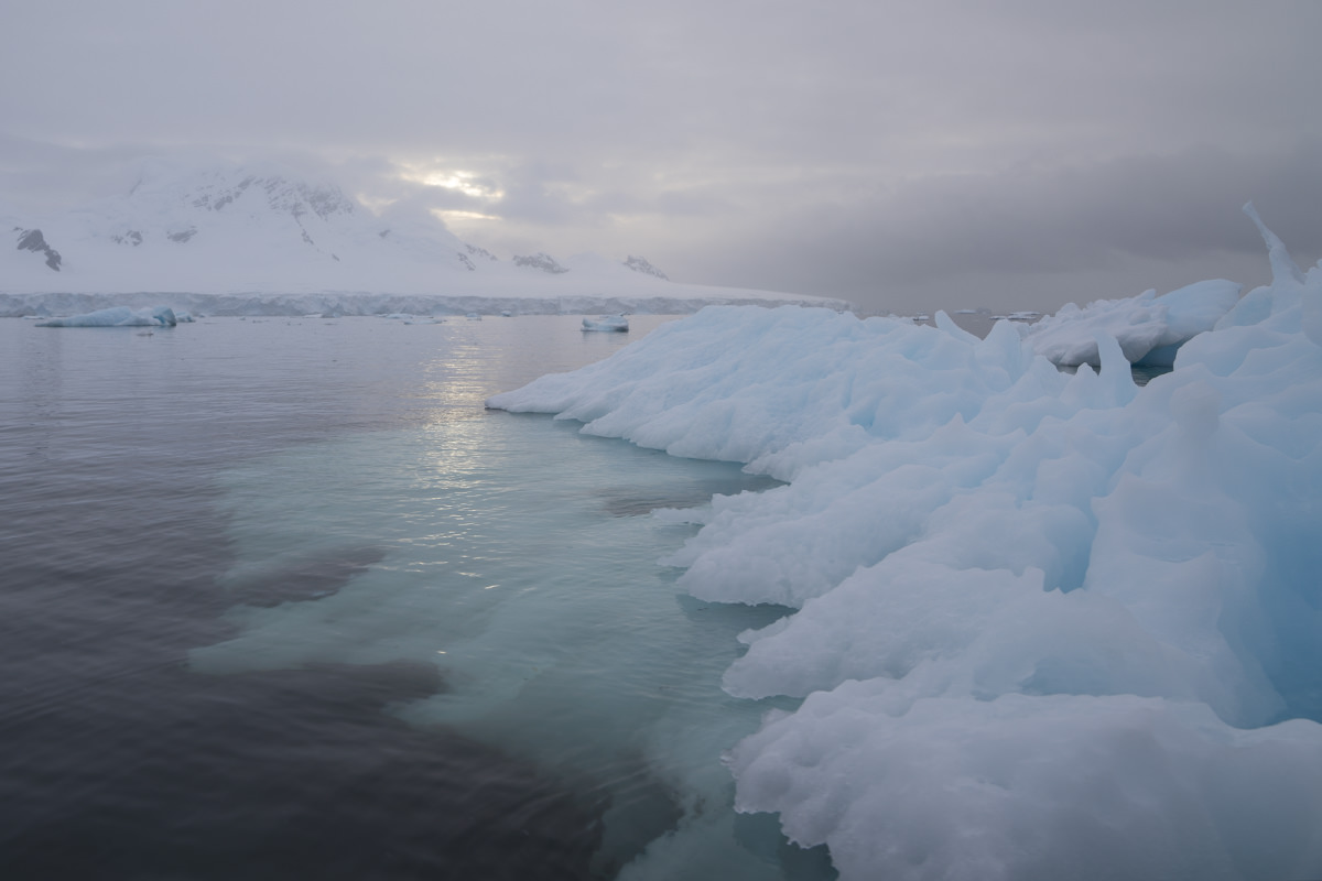 Glacier Icebergs