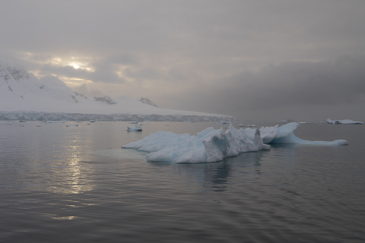 Glacier Icebergs