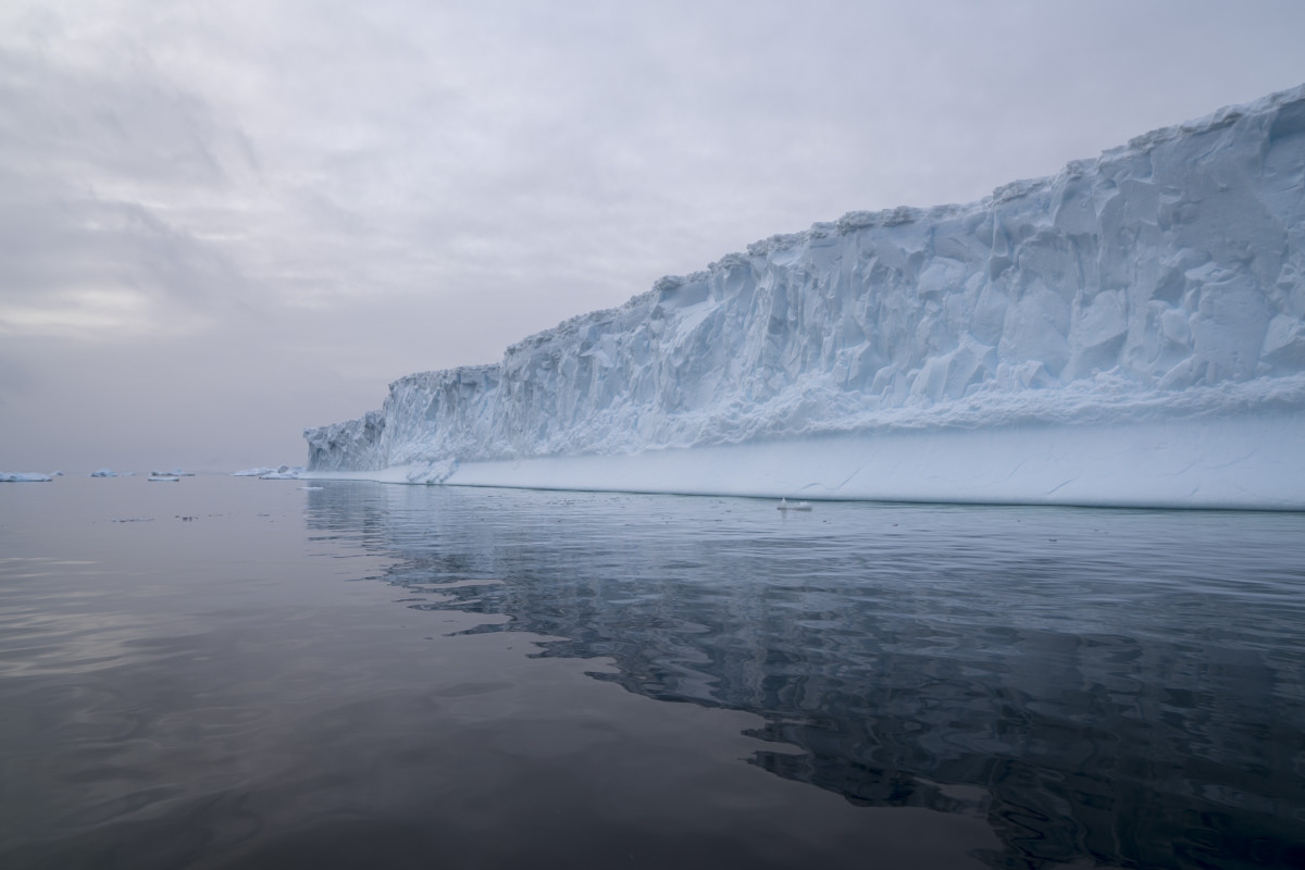 Glacier Icebergs