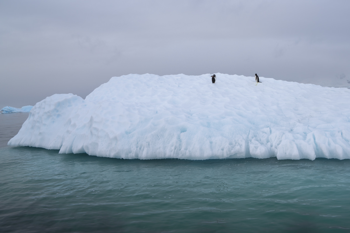 Glacier Icebergs