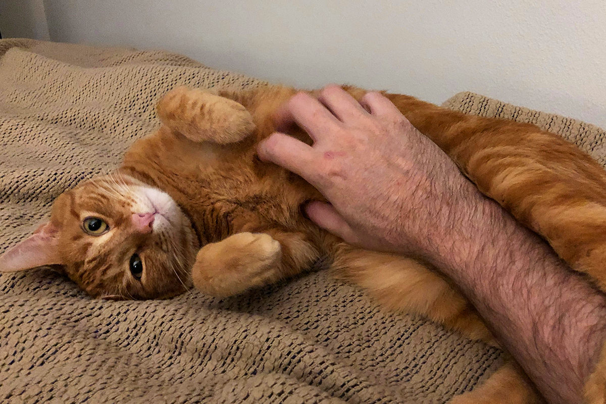 Jenny Belly Rub