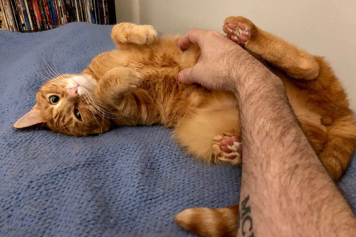 Jenny on the Electric Blanket