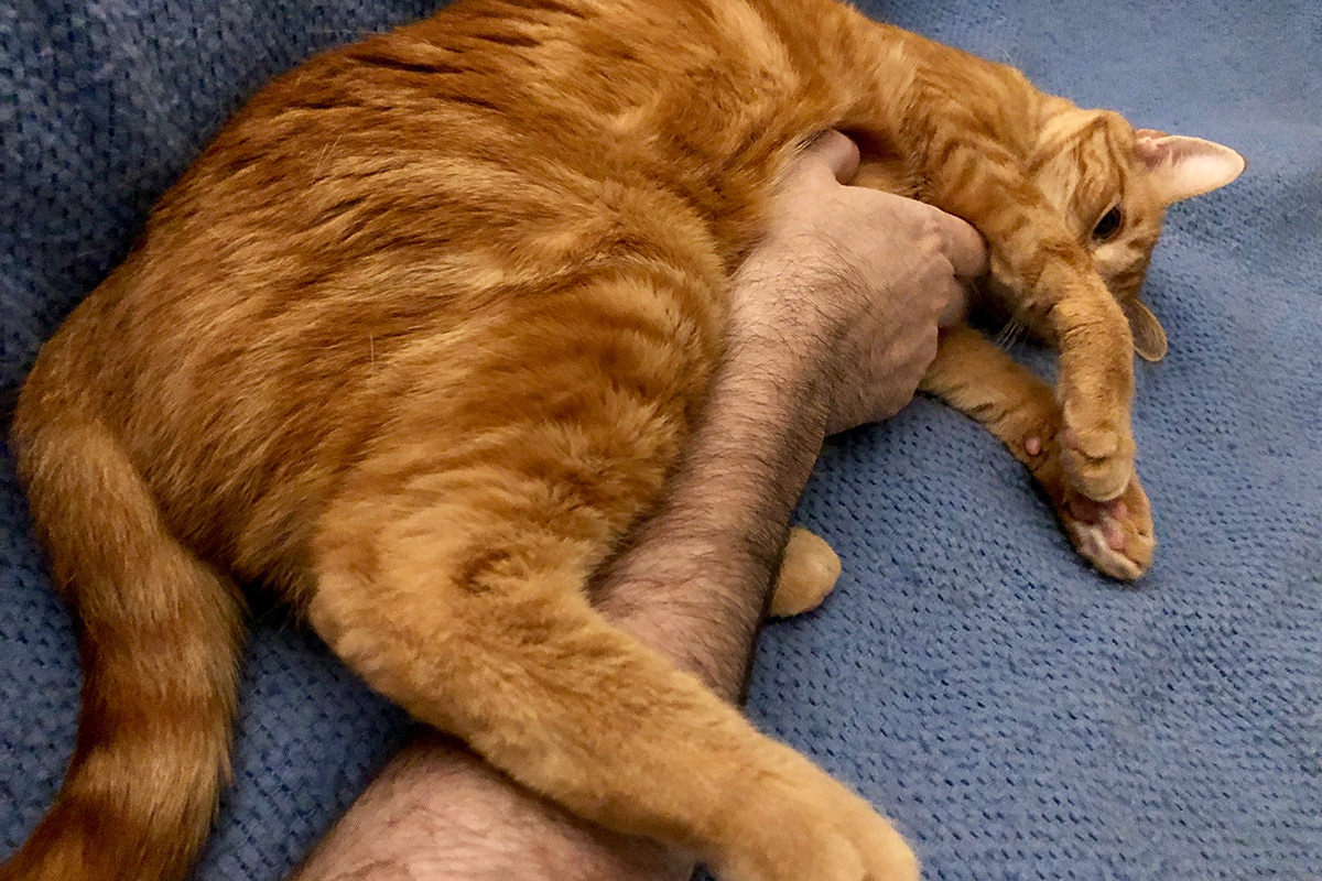 Jenny on the Electric Blanket