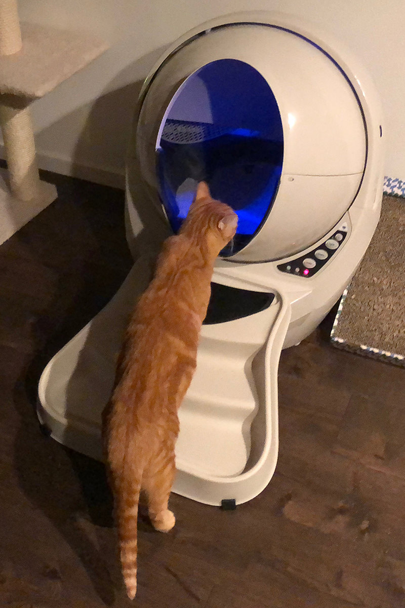 Jenny and Litter-Robot