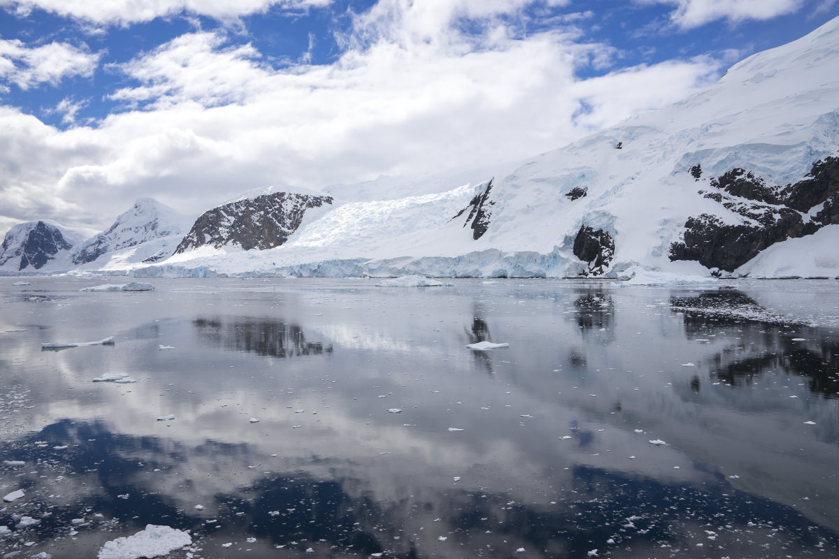 Neko Harbor, Antarctica