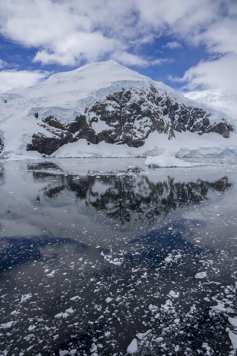 Neko Harbor, Antarctica