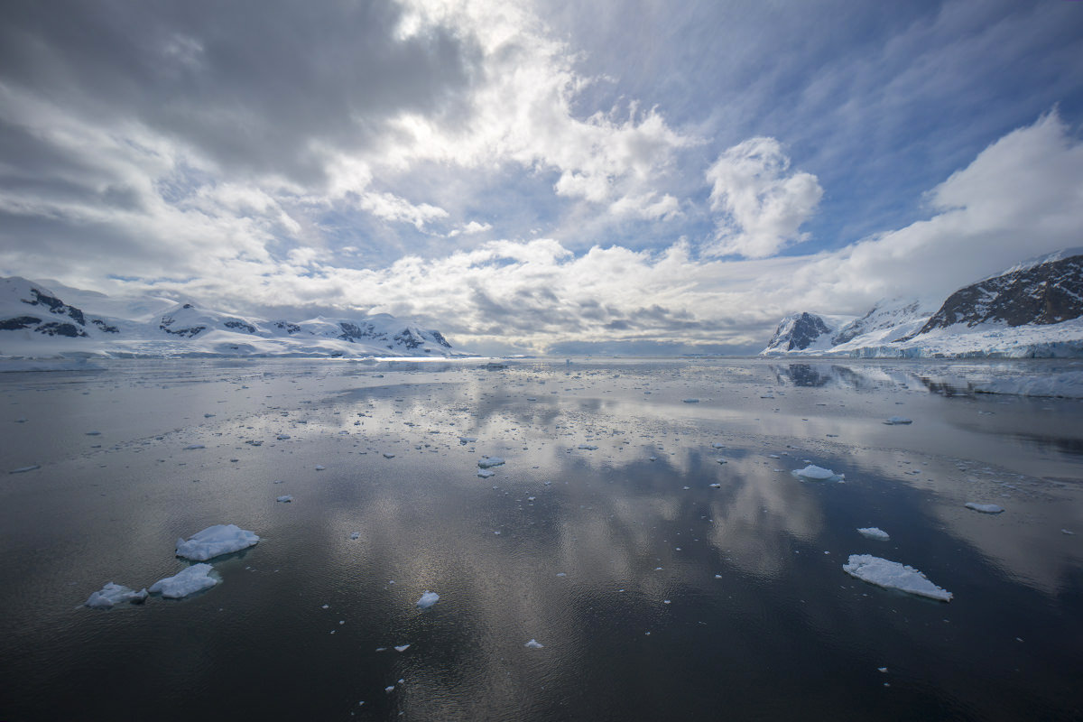 Neko Harbor, Antarctica