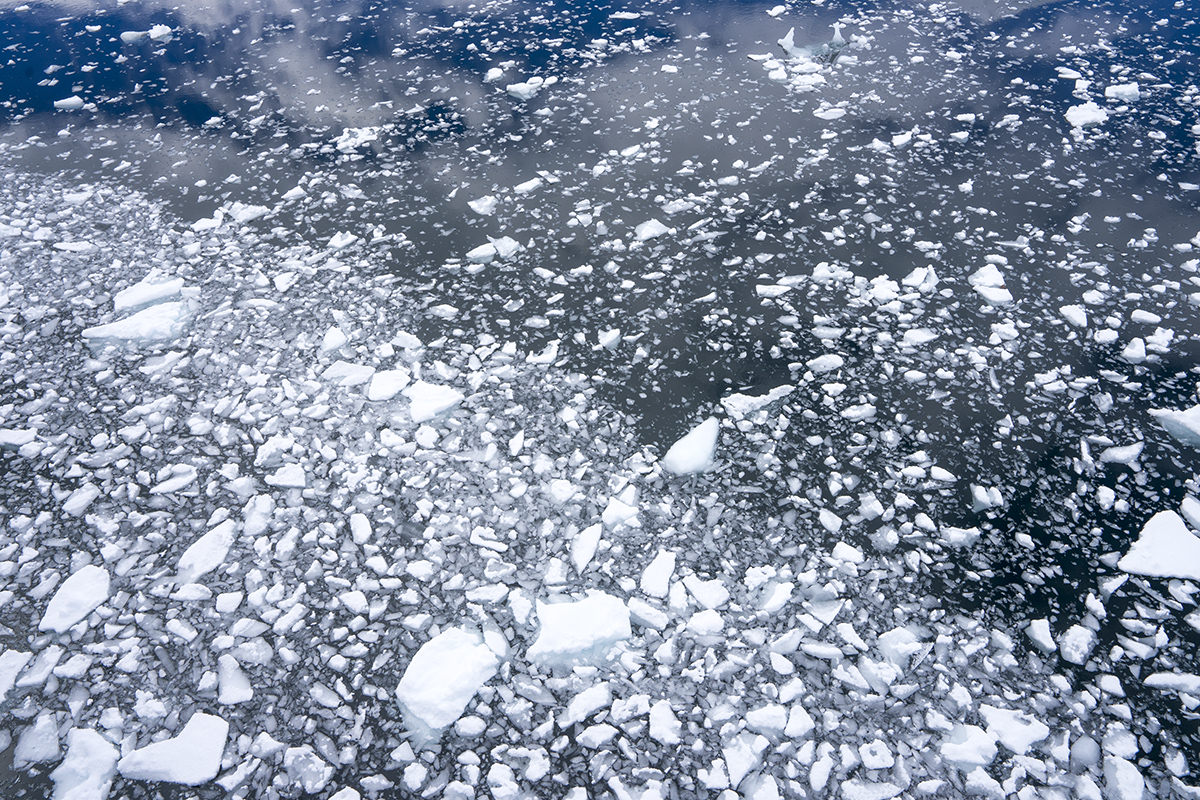 Neko Harbor, Antarctica