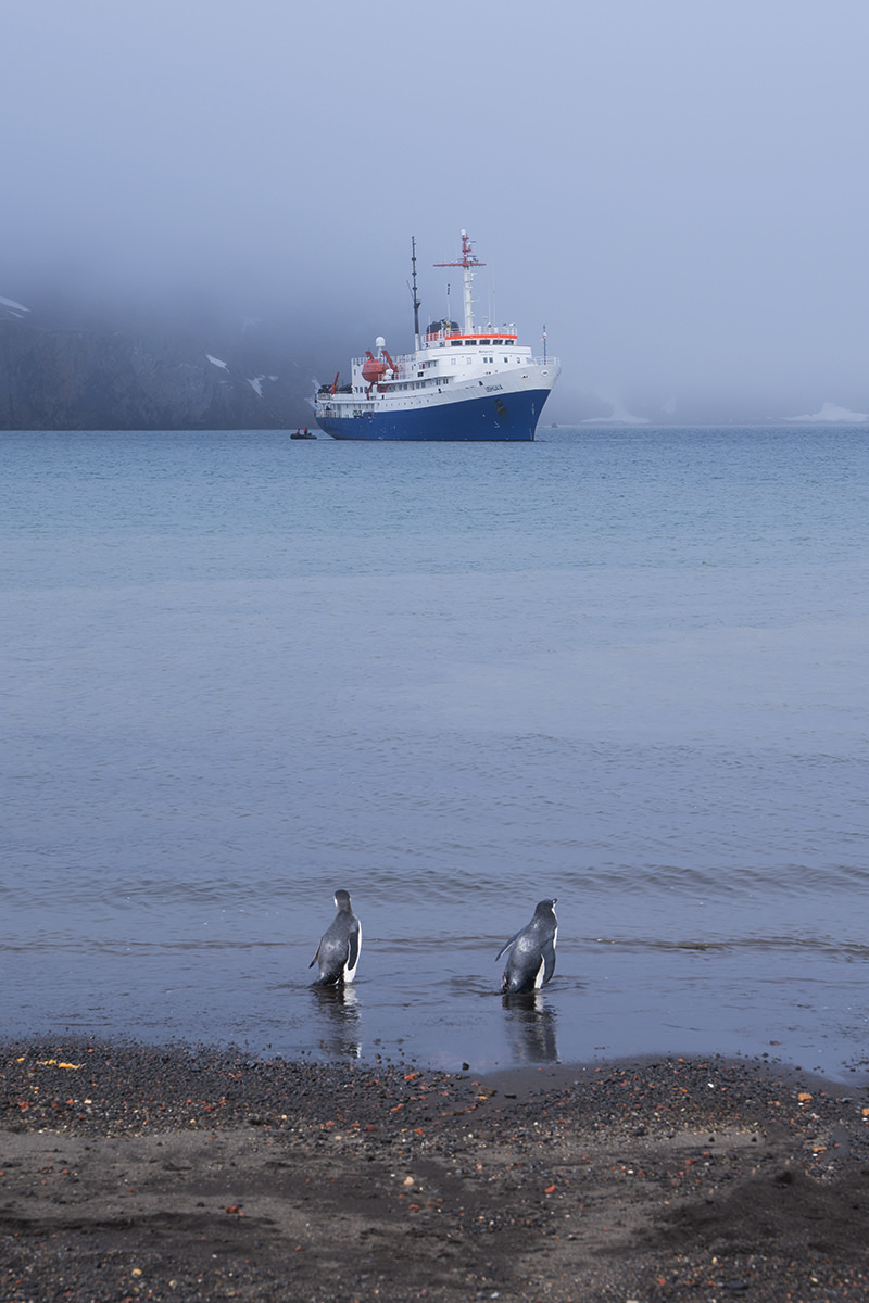 Deception Island Antarctica