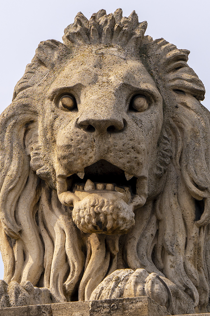 Széchenyi Chain Bridge Lions in Budapest