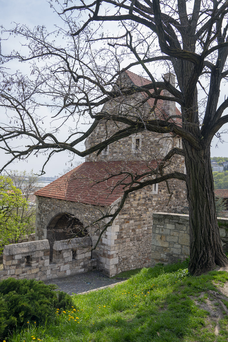 Budapest Buda Castle