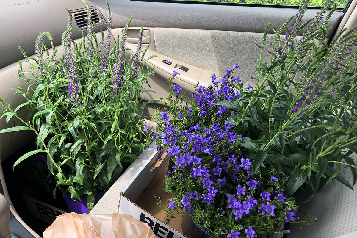 Flower Bed Construction