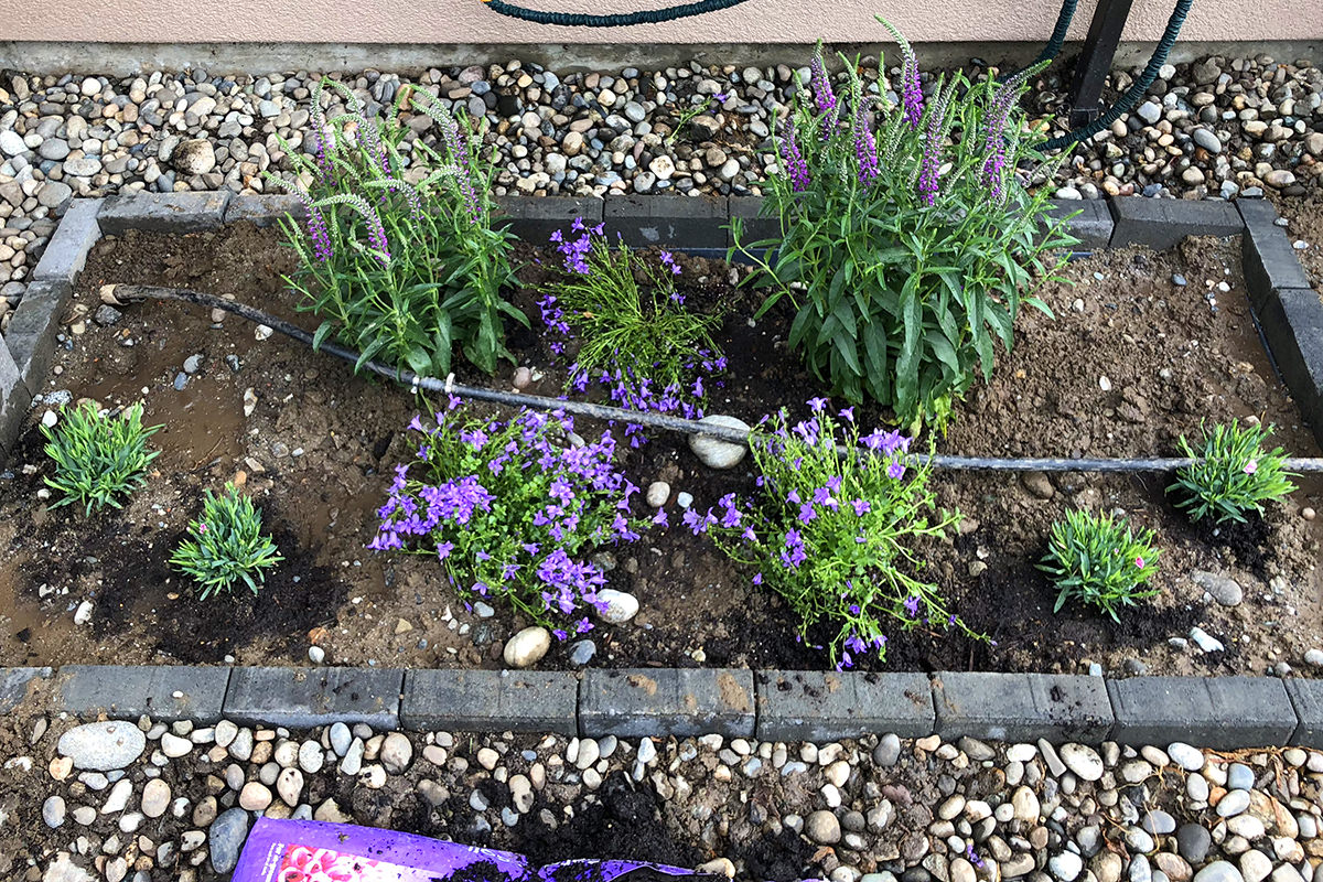 Flower Bed Construction