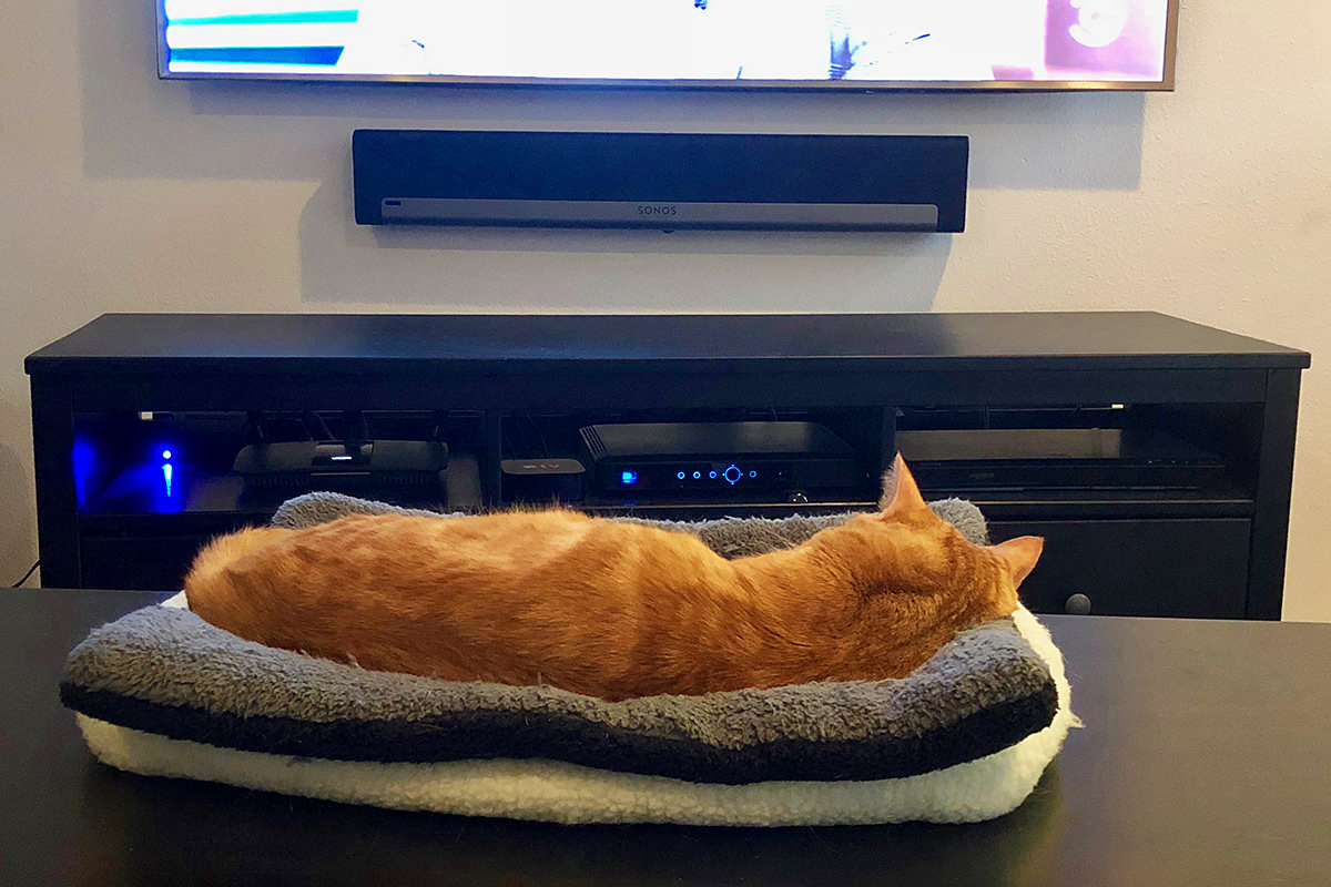 Jenny TV Sleeper