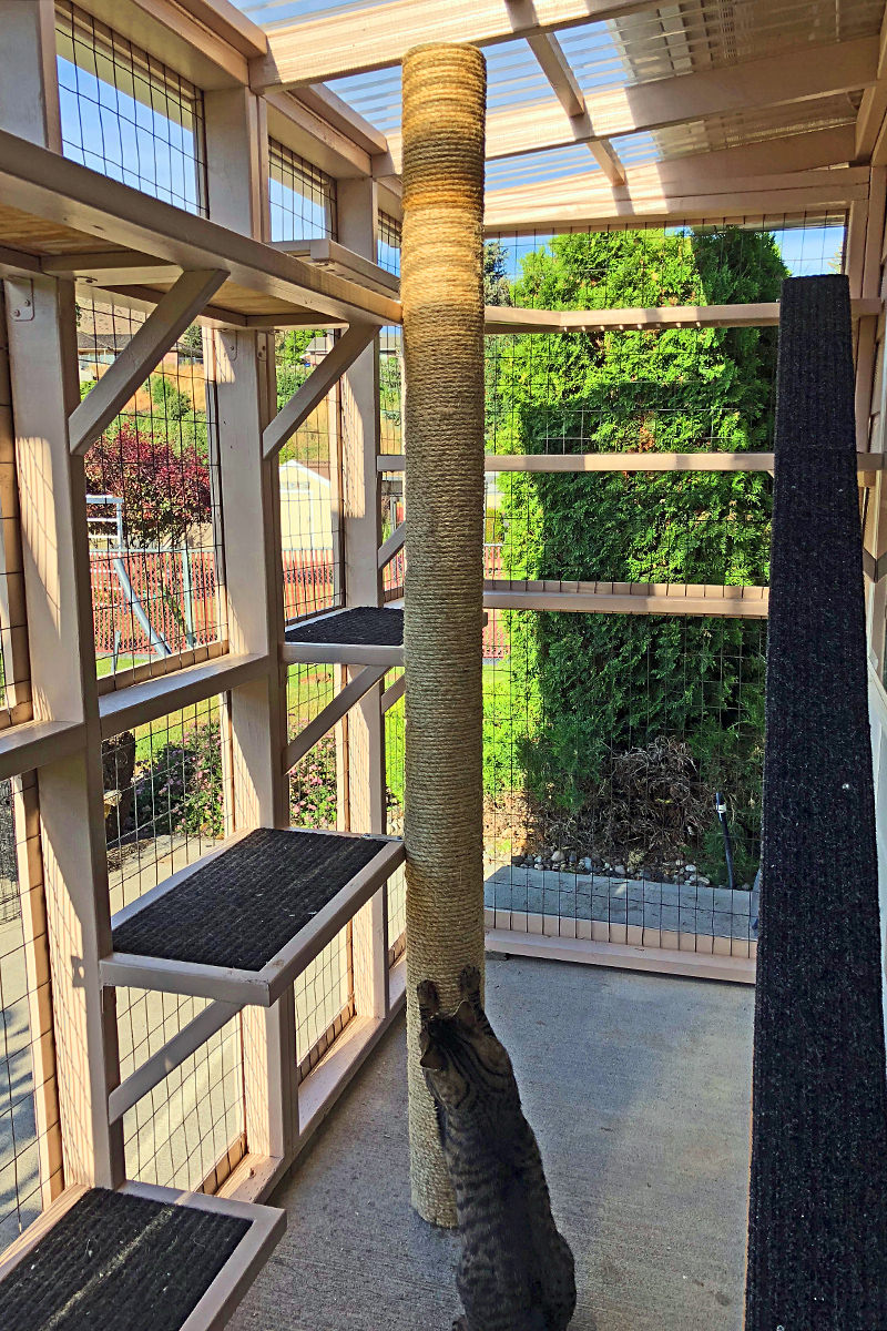 Catio Pole Installation