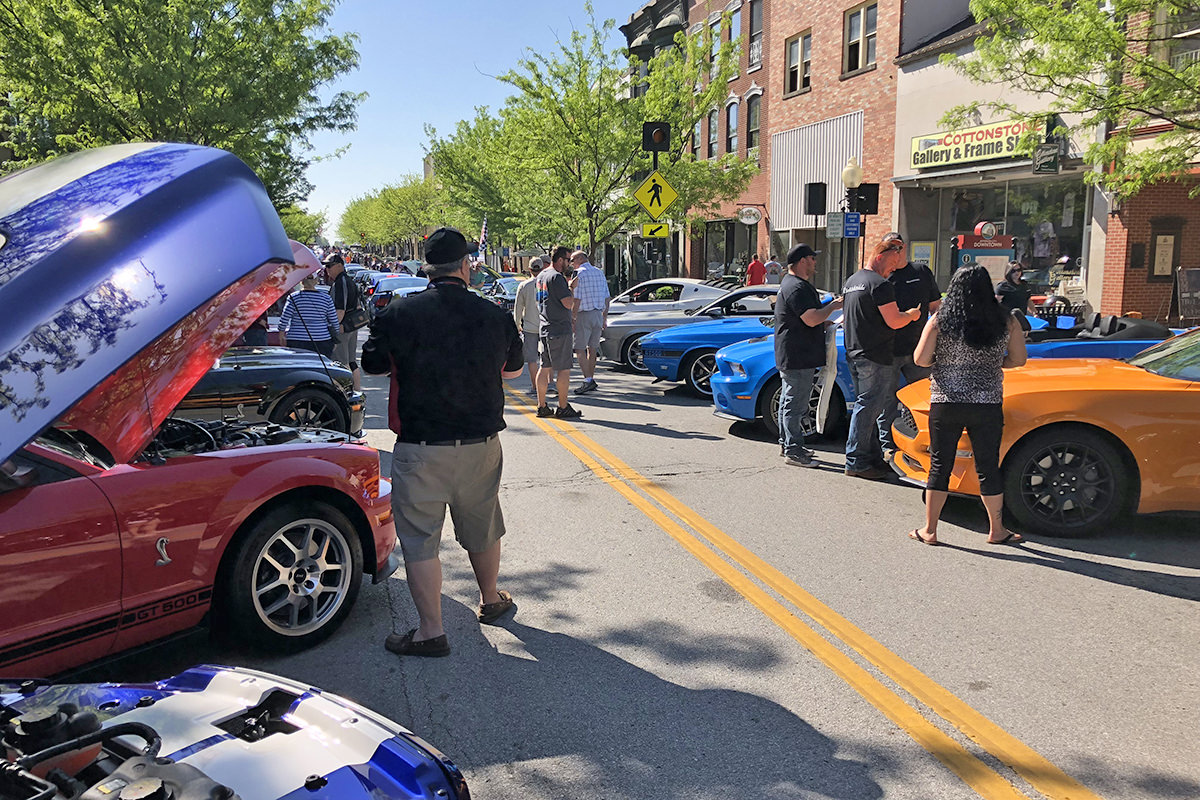 Jefferson City Shelbyfest