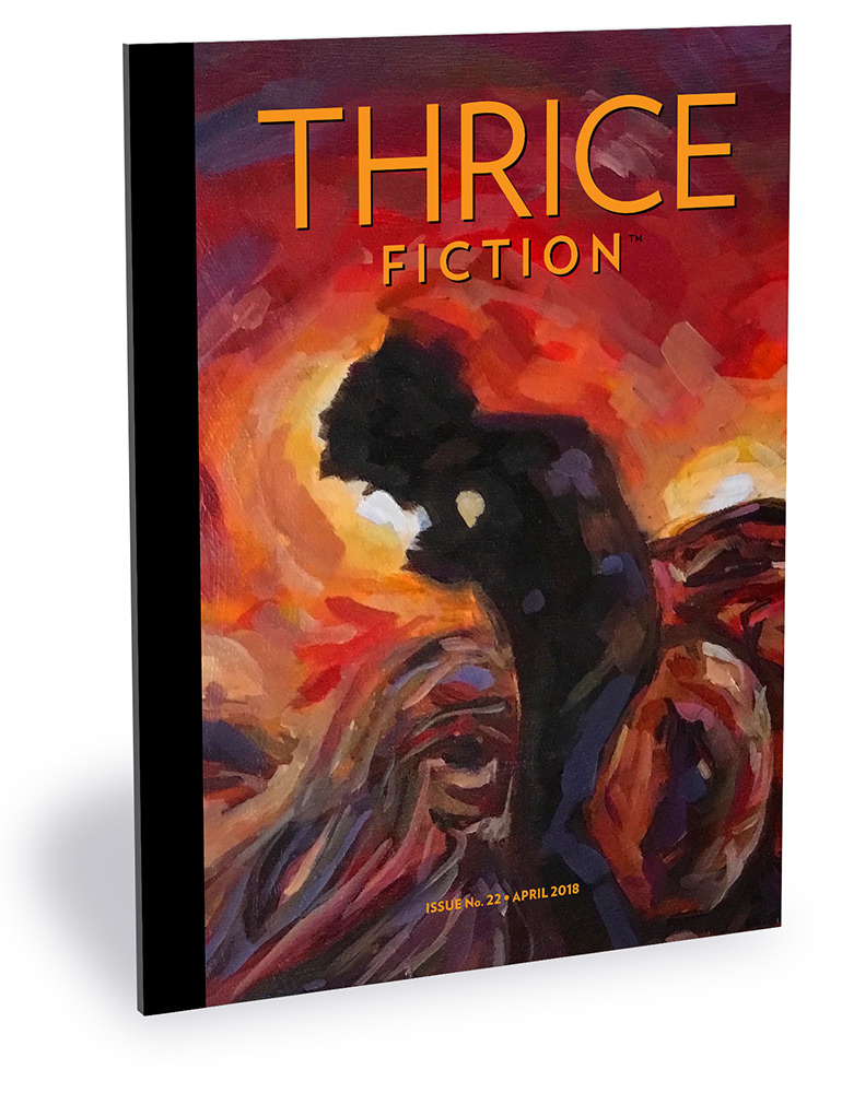 Thrice Fiction No. 22