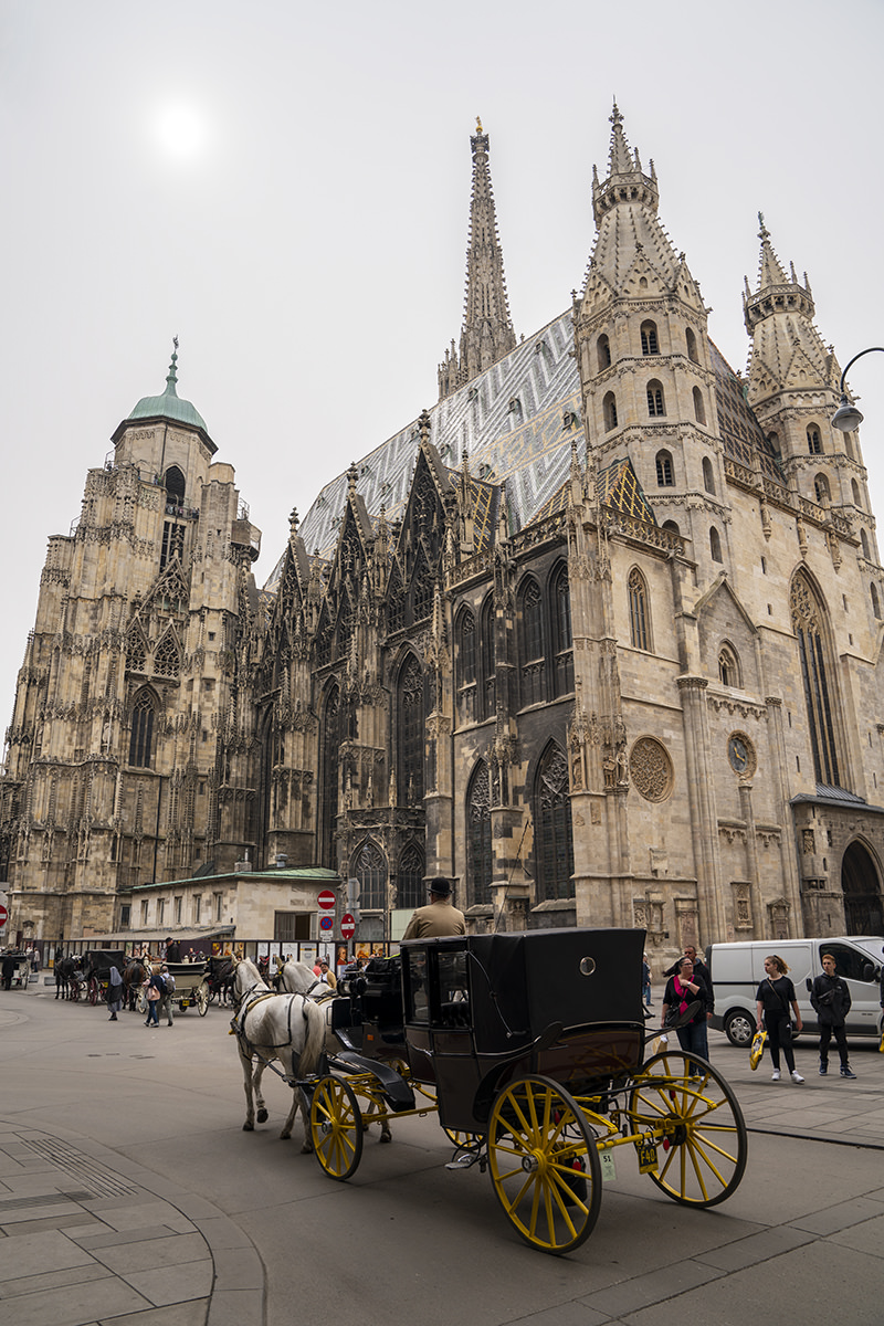 Horse-Drawn Carriage in Vienna