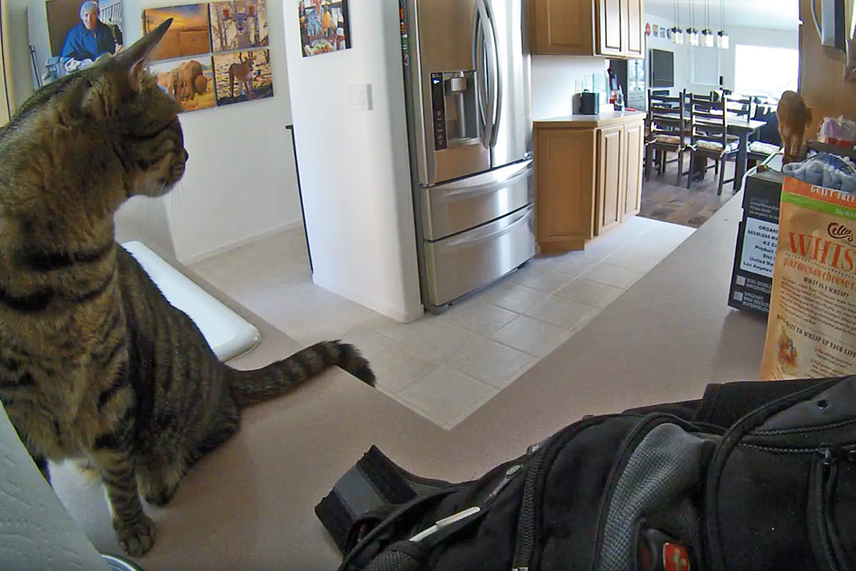 Jake and Jenny on the countertops