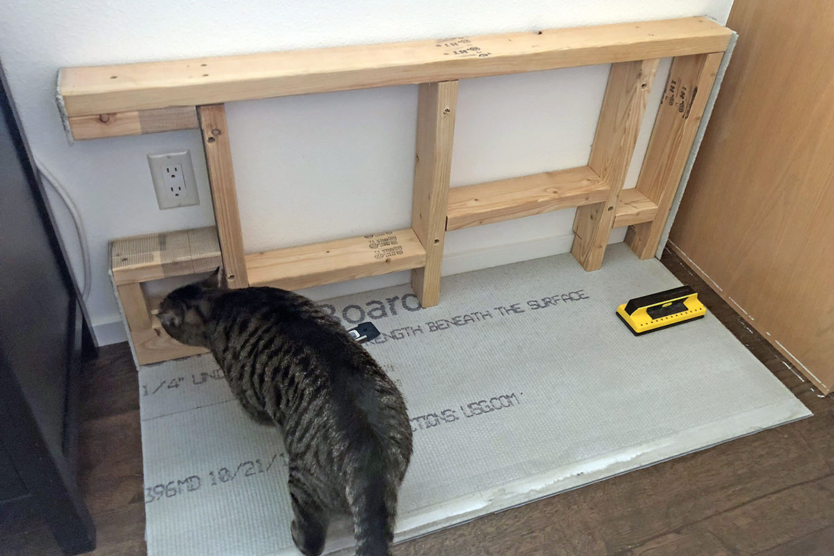 Cat Feeding Station Construction!