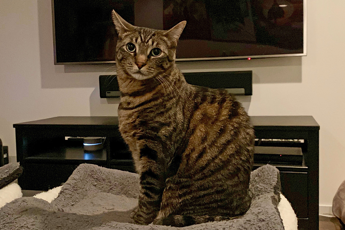 Jake looking handsome
