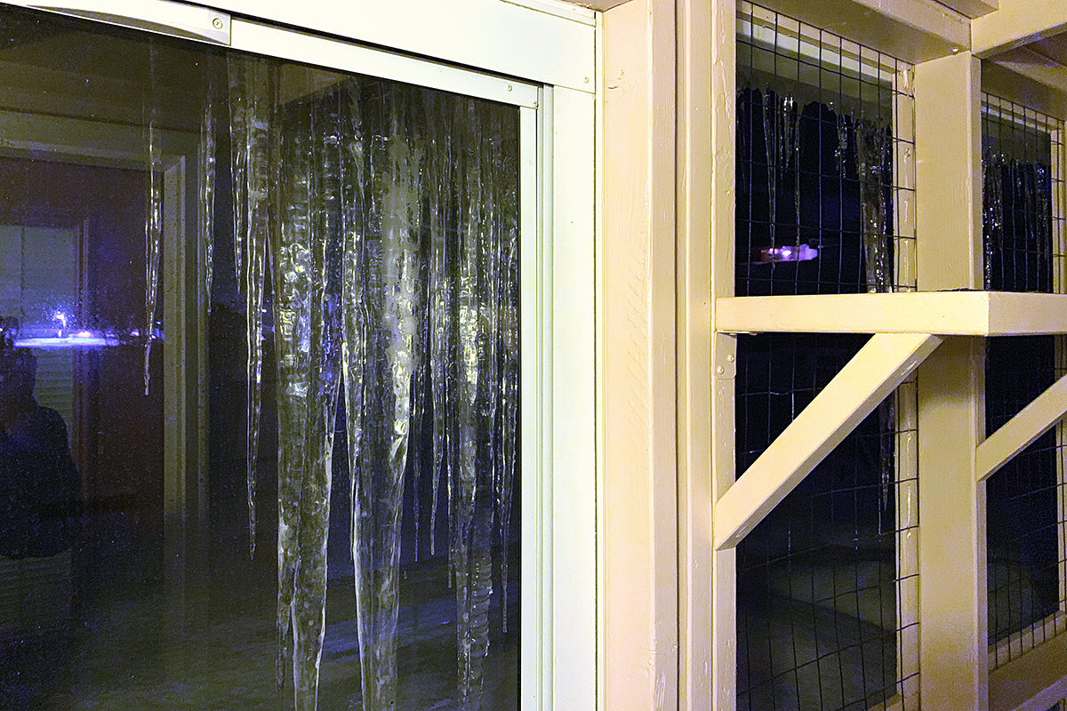 Catio Icicles at Midnight