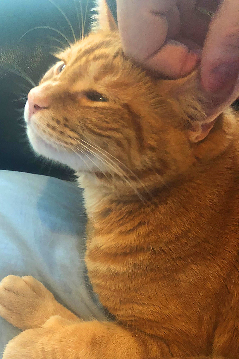 Jenny's Ear Massage