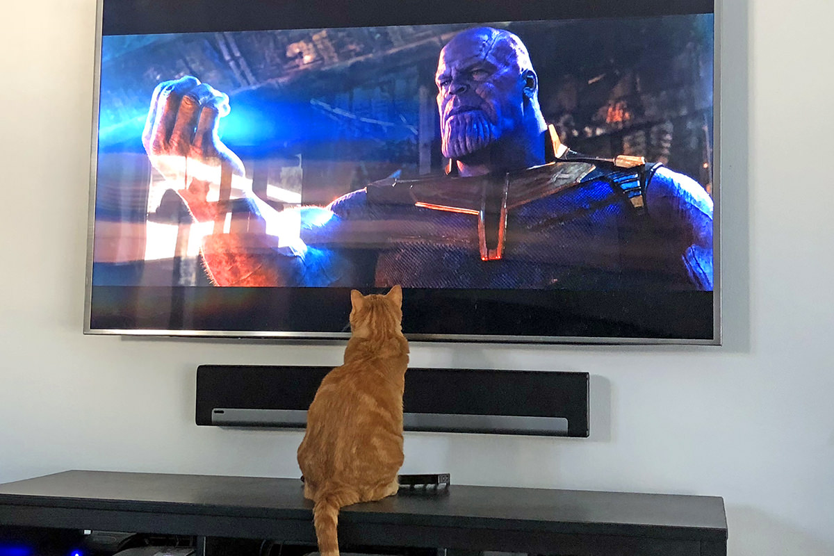 Jenny Loves Thanos