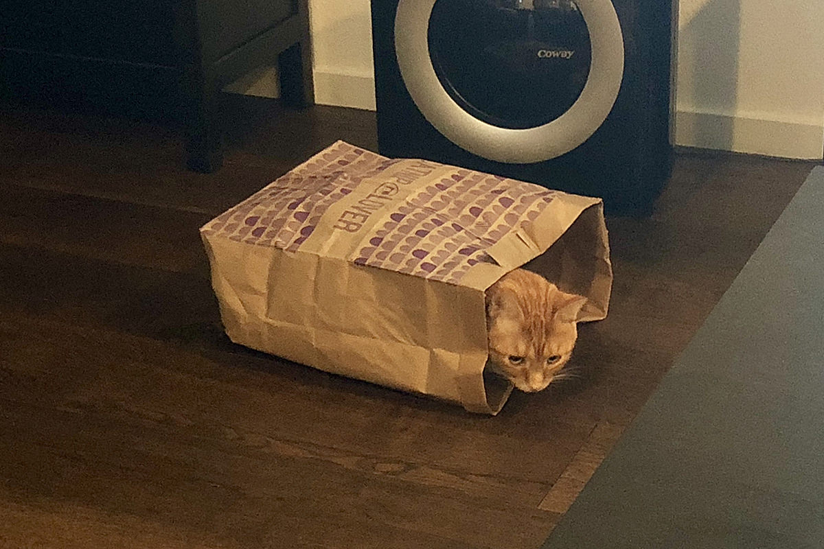 Jenny in a Paper Bag