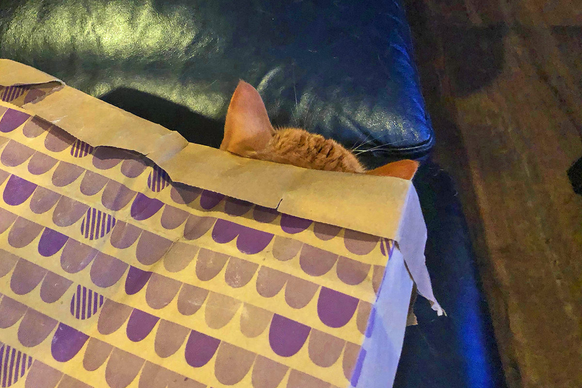 Jenny in a Paper Bag